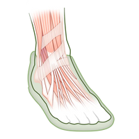 Strengthen Foot Muscles